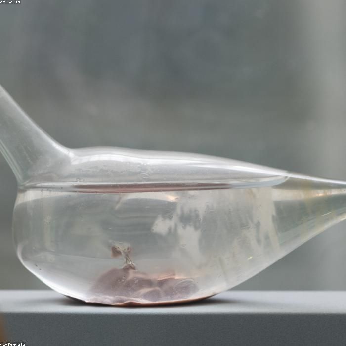 seed-PRF-010-2.jpg