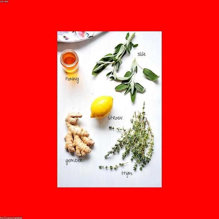 seed-SUP-018-2.jpg