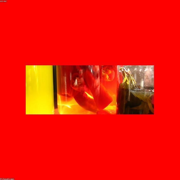 seed-SUP-021-2.jpg