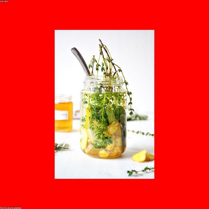seed-SUP-024-2.jpg